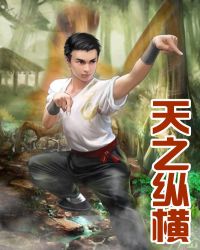 天之纵横
